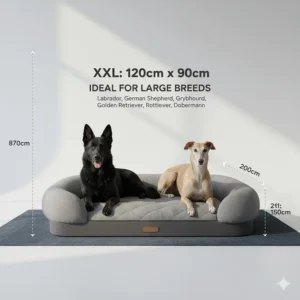 A comprehensive size guide for large memory foam dog beds, illustrating suitability for breeds like German Shepherds and Greyhounds.