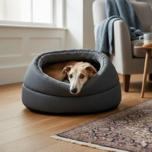 A nervous Whippet curled up inside a deep-walled hooded cave bed, providing a sense of security and shelter in a modern living room.