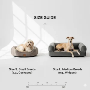 A size comparison chart for designer dog beds featuring a Cockapoo and a Whippet.