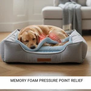 An illustration showing how the reactive layers of a memory foam dog bed contour to a dog's body to provide pressure point relief.