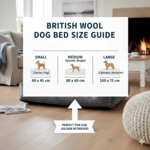 Size chart for British wool dog beds ranging from small Terrier sizes to extra-large Labrador sizes.