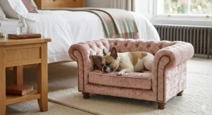 A small, soft blush pink crushed velvet Chesterfield dog bed with dark brass studding, featuring deep-button tufting, located in an elegant British bedroom with a French Bulldog nestled inside.