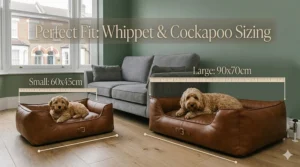 A size comparison guide featuring a Cockapoo and a Whippet to illustrate small and large bed dimensions.