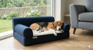 A stylish navy blue sofa-style dog bed with raised bolster edges acting as a headrest for a lounging Beagle.