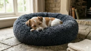 A Jack Russell Terrier deeply asleep in a plush, charcoal grey calming donut bed on a stone floor.