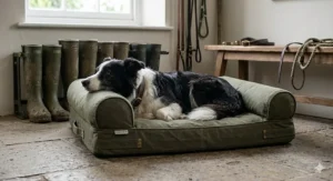 A heavy-duty canvas nest bed in a traditional stone-floored utility room, ideal for an active working Border Collie.