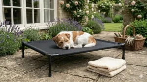 A Jack Russell resting on an elevated outdoor dog bed in a British cottage garden with lavender and stone paving.