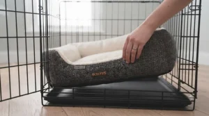 Step-by-step visual of placing a comfortable crate bed for a puppy inside a wire dog cage.