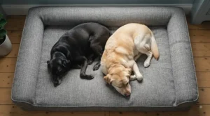 Even weight distribution mattress providing ultimate joint relief as part of a dog bed for cruciate ligament support.