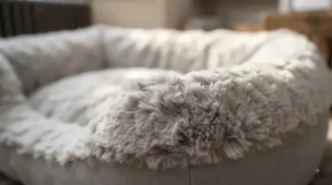 Raised rim detail of a calming dog bed for anxiety, providing head and neck support for a sleeping puppy.