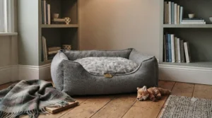 Secure dog bed for separation anxiety positioned in a quiet corner of a British home