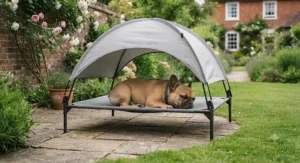 French bulldog resting comfortably under the built-in UV canopy of a shaded sun-safe dog bed.