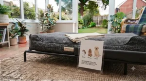 A size guide chart showing different options for choosing the right dog bed for a conservatory.