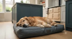 A content dog relaxing comfortably on a cushioned waterproof bed in the kitchen.