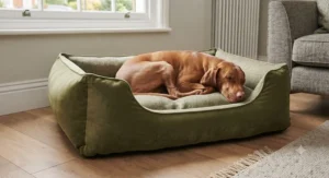 Close-up of an orthopaedic designer dog bed featuring a durable, machine-washable tweed cover.