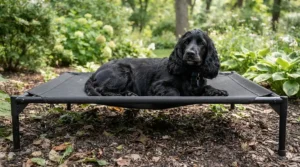 An elevated all-weather dog bed for garden drainage featuring mesh fabric and metal legs.