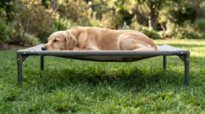 Side profile showing air circulation under an elevated dog bed for hot weather outdoors.