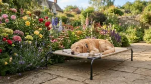 A lightweight metal-framed elevated dog bed for hot weather set up near a garden flowerbed.