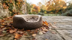 A waterproof garden dog bed kept outside on a conservatory terrace in autumn